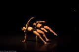 DanceArt  - Present-Project