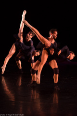 DanceArt  - Present-Project