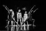 Kortárs&Balett Tánccsoport Szentendre - A tömeg szürke élete
